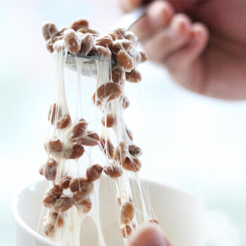 川秀纳豆菌 家用自制纳豆发酵菌粉 纳豆发酵剂小包装 3g