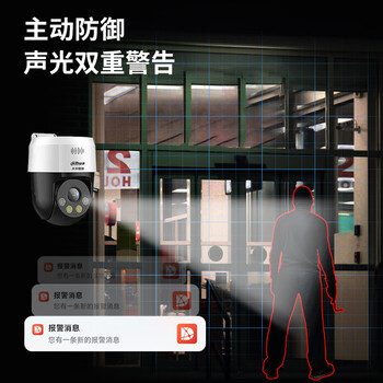 dahua大华500万POE供电室外摄像头防水夜视360旋转语音对讲全彩智能云台球机SD2A500-ADP-PV-i 不含电源