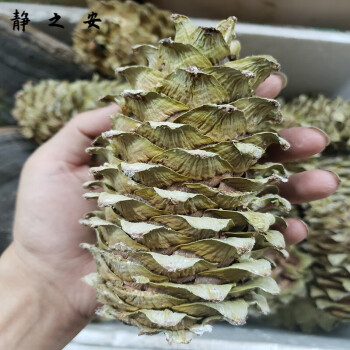 閑】天然水晶 細工彫『松鶴文』木製台座付 / 置物 飾り物 ☆時代物