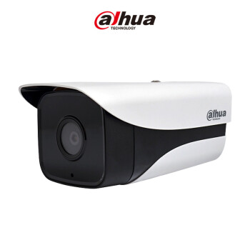 大华(dahua)400万H.265网络高清双灯监控摄像机POE供电红外80米 DH-IPC-HFW4443M-I2