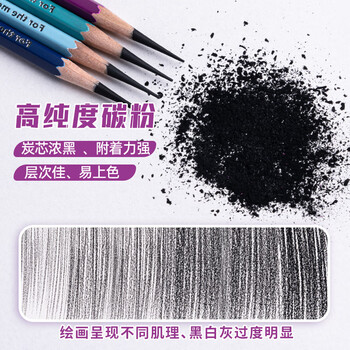 瑞萌特炭笔软炭美术生专用素描炭笔绘画笔速写硬炭学生联考素描炭笔铅笔瑞蒙特软炭笔官方初学者炭笔