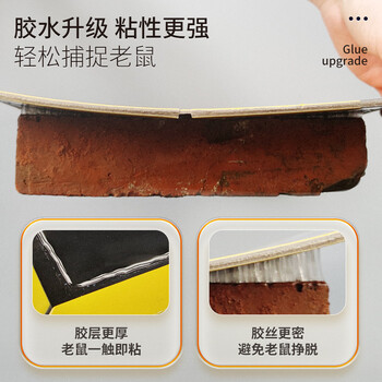 榄菊超强力粘鼠板5片老鼠贴抓老鼠捕鼠胶贴 加厚加黏 榄菊超强力粘鼠板5片老鼠贴抓老鼠捕鼠胶贴 加厚加黏