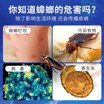 灭害灵杀蟑螂药贴 诱饵杀虫剂家用酒店饭店驱杀蟑螂捕捉药粉贴20粒装1盒