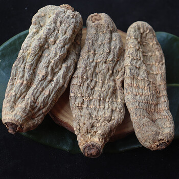 乌天麻野生云南昭通小草坝黑天麻精选乌天麻可代打天