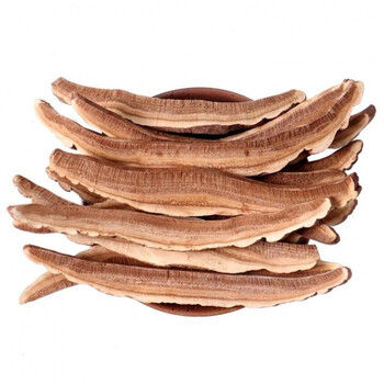 斗龙芝 斗龙芝西藏斗龙芝大片斗龙芝切片泡茶 斗