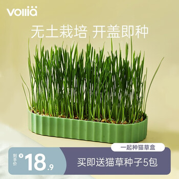 维利亚猫薄荷猫零食猫草天然植物舒缓情绪洁齿清新口气宠物零食碧波幽兰 蓝色 含5包猫草种子可种5次 图片价格品牌报价 京东