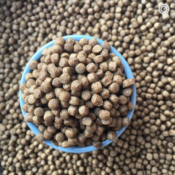 通威锦鲤饲料颗粒观赏鱼饵原塘浮缓沉水热带小金鱼粮通用养殖鱼食