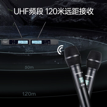 得胜（TAKSTAR）TS-5999无线话筒一拖二 会议室ktv舞台演出家庭专业k歌主持会议手持麦克风 黑色