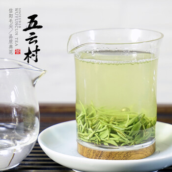 五云村2025新茶绿茶信阳毛尖茶叶特级明前嫩芽精美礼盒装春茶送礼物250g