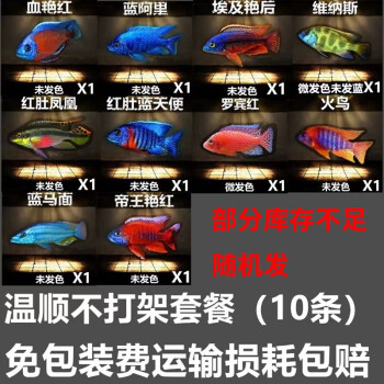 最新最全の 木彫り魚(鯛)、壁掛 その他 - indiansrj.com