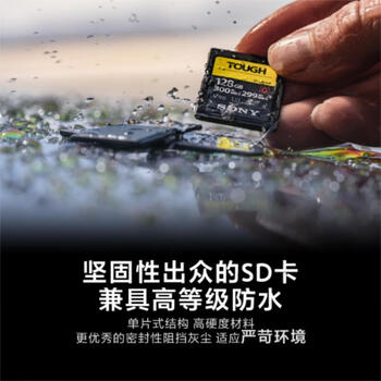 索尼（SONY）256GB SD存储卡 SF-G256T/T1 SF-G系列 TOUGH规格  读取300MB/S写入299MB/S 相机内存卡