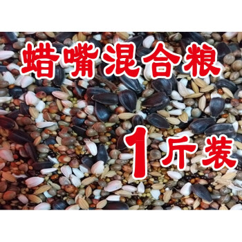 铜嘴蜡嘴鹦鹉粮红花子麻子瓜子苏子高粱混合鸟食鸟粮饲料500g 图片价格品牌报价 京东