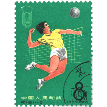 纪116销票价格报价行情- 京东