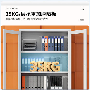 中伟文件柜办公钢制铁皮柜资料档案柜储物拆装柜偏三保橘色拉手加厚款