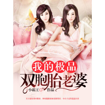 我的极品双胞胎老婆pdf/doc/txt格式电子书下载