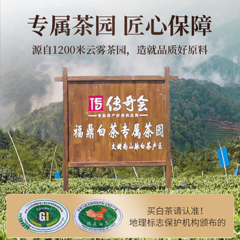 传奇会 茶叶 福鼎白茶寿眉木箱散茶陈香老白茶礼盒装500g自己喝送礼 传奇会 茶叶 福鼎白茶寿眉木箱散茶陈香老白茶礼盒装500g自己喝送礼