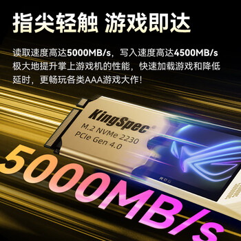 金胜维（KingSpec）512GB SSD固态硬盘NVMe 2230 M.2接口 PCIe4.0 读速5000MB/s 适配SteamDeck掌机