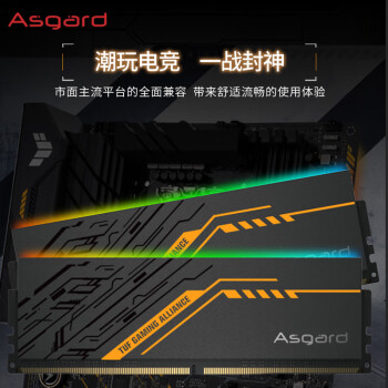 阿斯加特（Asgard）16GB(8GBx2) DDR4 3600 台式机内存条 金伦加&TUF联名款 RGB灯条 海力士CJR CL18 黑橙甲