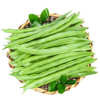 云南四季豆 无筋豆 芸豆角 新鲜架豆王 农家蔬菜 5斤