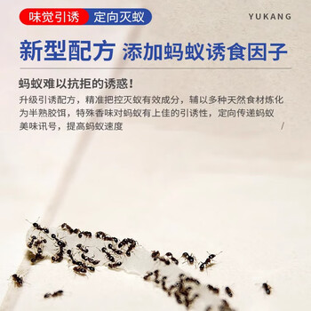 郁康蚂蚁药全窝一窝室内端杀虫剂非无毒家庭用杀蚁胶饵灭蚁饵剂10g 郁康蚂蚁药全窝一窝室内端杀虫剂非无毒家庭用杀蚁胶饵灭蚁饵剂10g