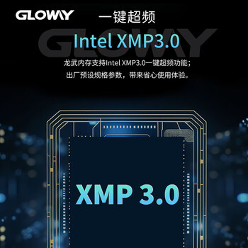 光威（Gloway）48GB(24GBx2)套装 DDR5 7200 台式机内存条 龙武系列 海力士M-die颗粒 CL36 Deepseek硬件