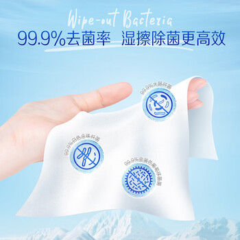 得宝（TEMPO）一博同款 纯水湿厕纸7片*6包 迷你湿厕纸 便携装 卫生纸 湿巾 