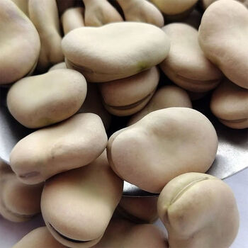 嗨可妹蚕豆干货生5斤大粒生干蚕豆特产散装胡豆生蚕豆农家干货5斤蚕豆