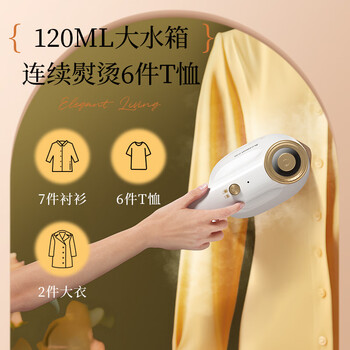 志高（CHIGO）99%好评】手持挂烫机电熨斗熨烫机家用小型差旅便携120ml水箱20g/min增压蒸汽除菌团购拼豆熨斗801