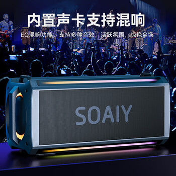 索爱（soaiy）SH05户外K歌5.3蓝牙音箱声卡音响一体机四喇叭双振膜立体声重低音炮混响广场舞直播带2个麦克风