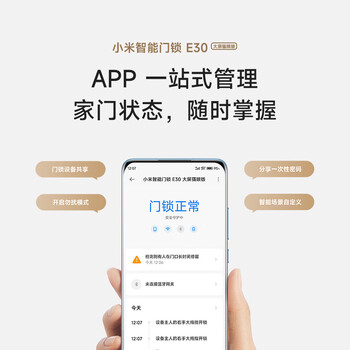 小米智能门锁 E30 大屏猫眼版 指纹锁智能锁可视电子锁密码锁