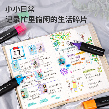 得力（deli）绿色荧光笔考试复习划重点醒目标记笔 物流办公学生通用水性记号笔 手账绘画可用10支S600