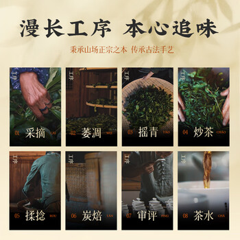 武夷山大红袍探越茶业乌龙茶武夷岩茶象鼻岩肉桂一级250g中火礼盒装茶叶