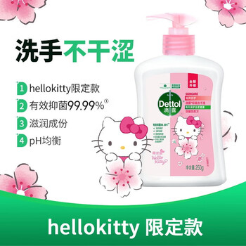 滴露 抑菌洗手液 滋润倍护250g HelloKitty限定版 儿童消毒家用温和