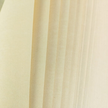 芬尚  六尺条屏仿手工毛边纸 加厚仿古纯竹浆毛笔书法练习纸 六尺对开三分熟100张 洇墨适中不起皱49*180cm