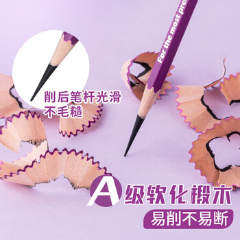 瑞萌特炭笔软炭美术生专用素描炭笔绘画笔速写硬炭学生联考素描炭笔铅笔瑞蒙特软炭笔官方初学者炭笔
