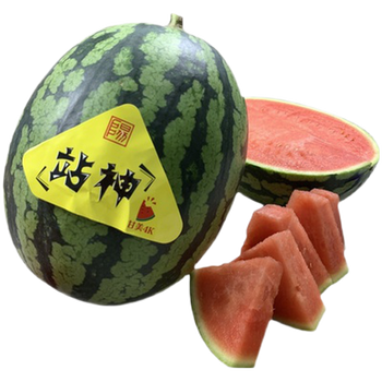 千朵云战神4k西瓜正宗西瓜甘美4k西瓜 小糖丸2k时令大瓜全美战神西瓜