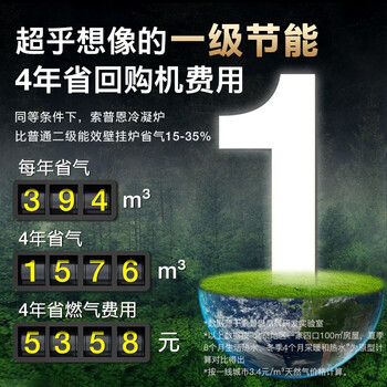 索普恩SOOPOEN一级能效冷凝式燃气壁挂炉天然气板换WIFI分段燃烧供暖洗浴地暖零冷水LL1PBD20-JL
