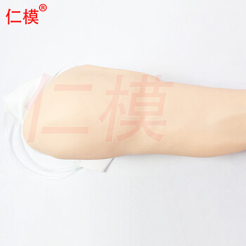 仁模RM/S8完整静脉穿刺手臂模型 静脉穿刺手臂模型 手臀肌肉注射训练仿真模型 护士打针练习手臂可定制