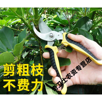 不锈钢强力园林园艺修枝剪摘葡萄采果剪修剪柑橘子剪 sk5强力修枝剪