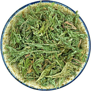 北京同仁堂官方原料石上柏野生中药材石上柏,地侧柏,梭罗草,地梭罗