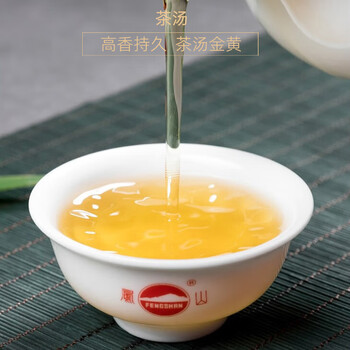 凤山乌龙茶安溪铁观音浓香型茶叶特级400g礼盒装节日礼物送礼送长辈