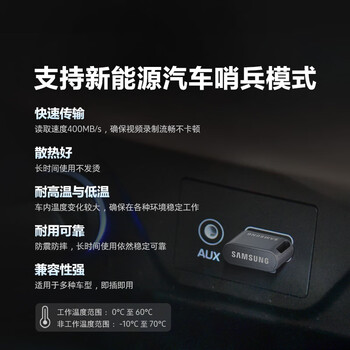 三星（SAMSUNG）256GB USB3.1  U盘 FIT 电脑车载迷你优盘 高速 学生办公 读速400MB/s（Gen 1）适用哨兵模式