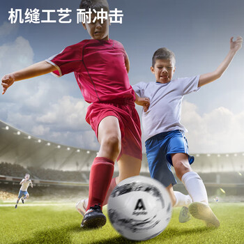 得力安格耐特 F1234 足球 5号 TPU材质机缝耐磨 (银色+白色)
