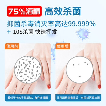净佰俐75%酒精消毒液500ml 酒精喷雾液体 免洗手乙醇消毒液车间杀菌