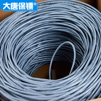 大唐保镖 超五类网线（工程级0.48±0.02）无氧铜线芯 非屏蔽CAt5家装工程布线双绞线305米 DT2905E