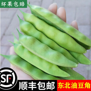 油豆角5公斤 凍豆角500g*3袋冻豆角油豆角– 华华商店