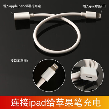 Bsn苹果apple Pencil充电线转接头ipad Pro手写笔配件转换头底座铅笔数据线加长 短白色 Ipad连接 线 30厘米 图片价格品牌报价 京东