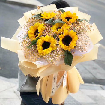 【小太阳】5朵向日葵 黄色满天星 不含花瓶