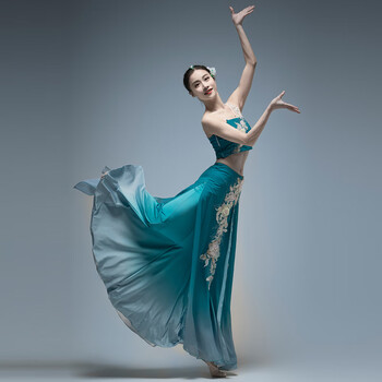 洱樱傣族服装女舞蹈服装新款演出服女艺考表演服彩云之南 17号傣族服