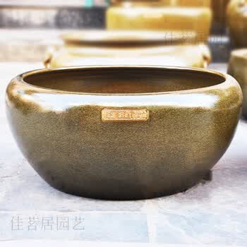 荷花缸中养鱼品牌及商品- 京东